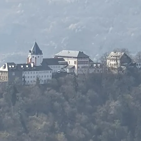 Zur Koenigslay 布莱