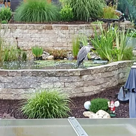 Zur Koenigslay * Bullay