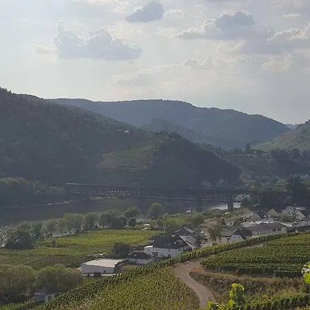 Zur Koenigslay 布莱