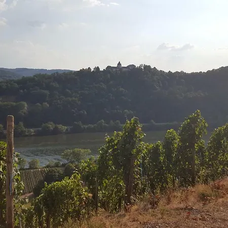 Zur Koenigslay * 布莱