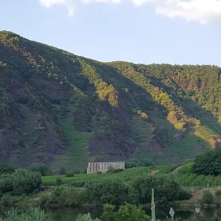 Zur Koenigslay 度假居 布莱