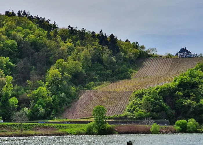 Zur Koenigslay Hébergement de vacances Bullay