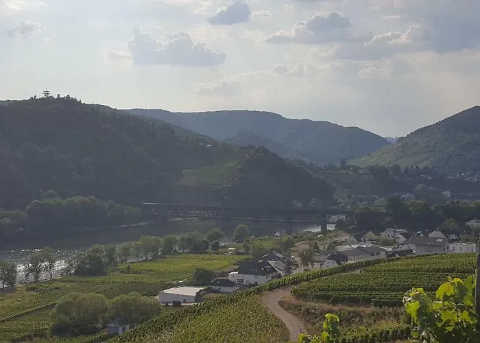 Zur Koenigslay بولاي